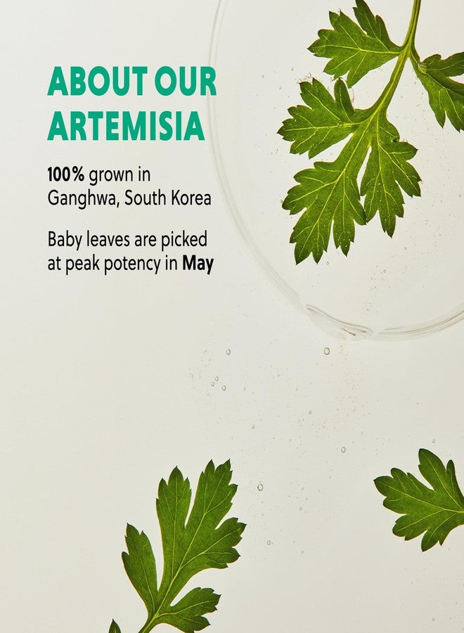 HANYUL Artemisia Soothing Toner with Centella Asiatica and Panthenol | Hydrating & Calming Facial Toner for Sensitized Skin, Skin Prep, Vegan, 5.07 fl. oz. - Image 5